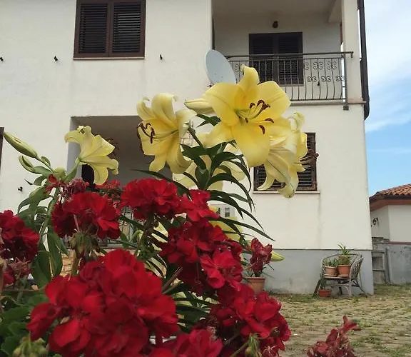 Apartments Bodi