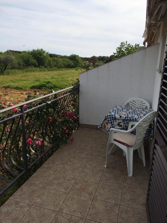Apartma Bodi *