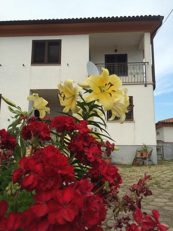 Apartment Bodi *